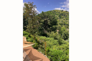 Chambre d'hôtes à Evisa, la vue sur le jardin.