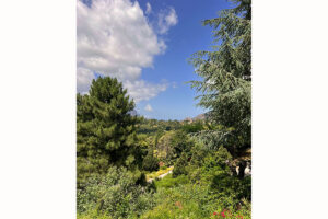 Chambre d'hôtes à Evisa, la vue sur le jardin.